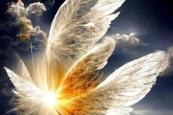 命运之轮：如何用成语塑造人生的方向与目标