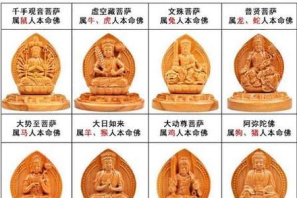 生肖马：硬命与软命的运势解析及生活志向