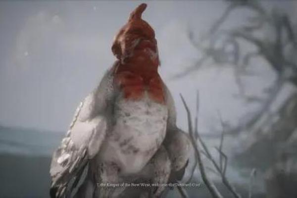 堵命水鬼：水下搬运的重要角色与神秘任务