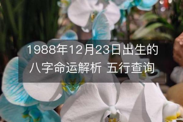 1981年正月出生的命运探秘：你的五行八字揭示了什么？