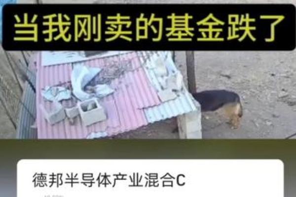 四两九命:揭秘命主发财之道与财富秘诀 四两九命:揭秘命主发财之道与财富秘诀