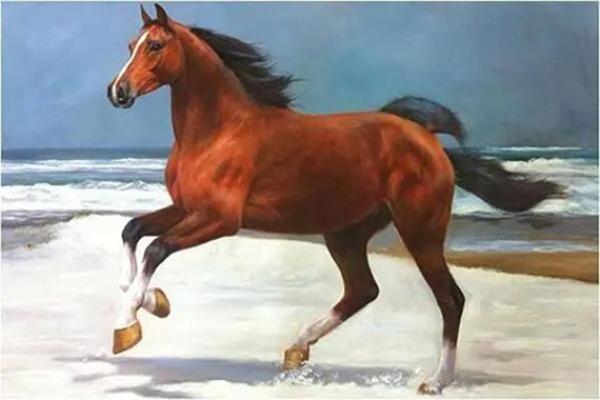 2026年马年属什么命：深入探讨马年人的命理与运势