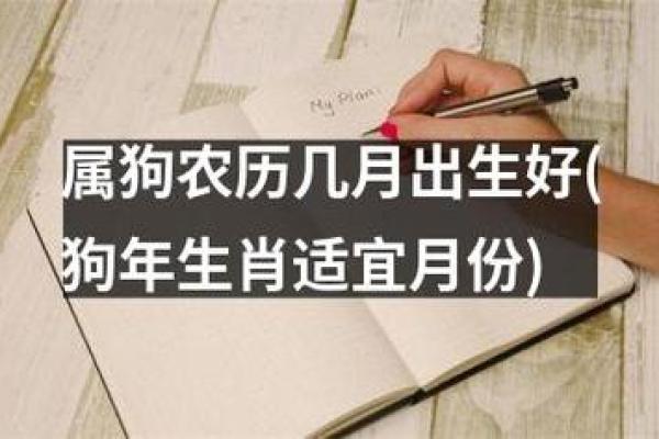 狗年出生的人:揭秘属狗之命的性格与命运运程 狗年出生的人:揭秘属狗之命的性格与命运运程