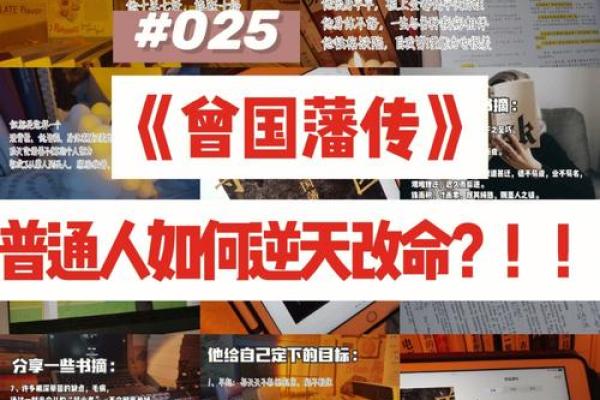 1979年羊年震命：命理深读与人生启示