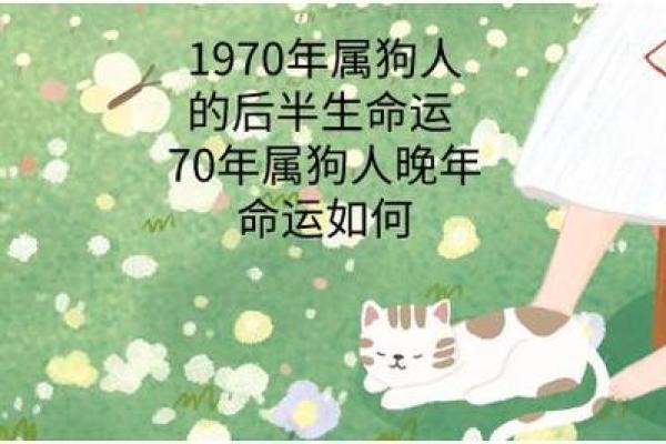 狗年出生的人:揭秘属狗之命的性格与命运运程 狗年出生的人:揭秘属狗之命的性格与命运运程