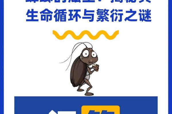 根据时辰查命理:揭开生命之谜的时间密码 根据时辰查命理:揭开生命之谜的时间密码