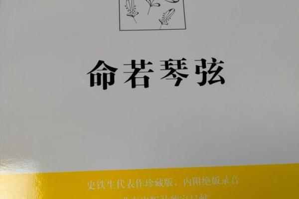 无命与全命：探寻生命的哲学深意与启示