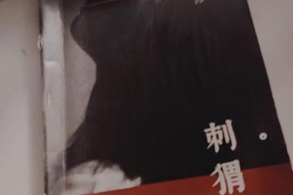 《命换之术：黑暗中的交易与救赎》