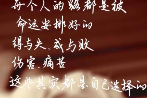 1905年出生的人命运与人生解析：探索潜力与机遇的旅程