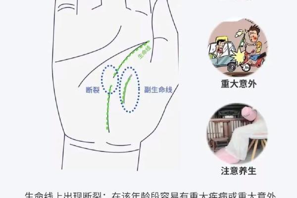 通过手相揭示你未来的命运，解读生命之掌的奥秘