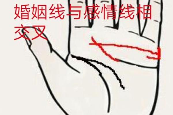 通过手相解读命运：揭示生命的玄机与机会