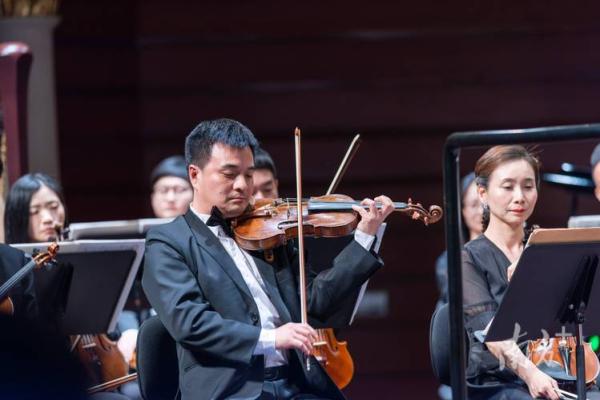 感情淡薄者的命运：孤独与自由的交响乐