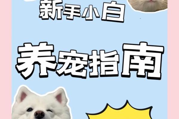 水命与土命人士适合养的宠物推荐指南