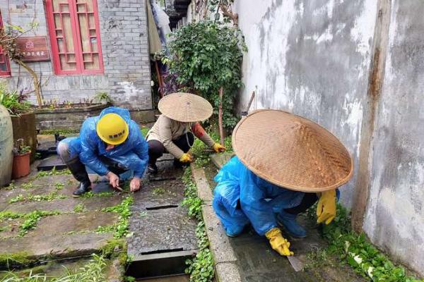 木命与火命最佳婚姻搭配:携手共创美好未来 木命与火命最佳婚姻搭配:携手共创美好未来