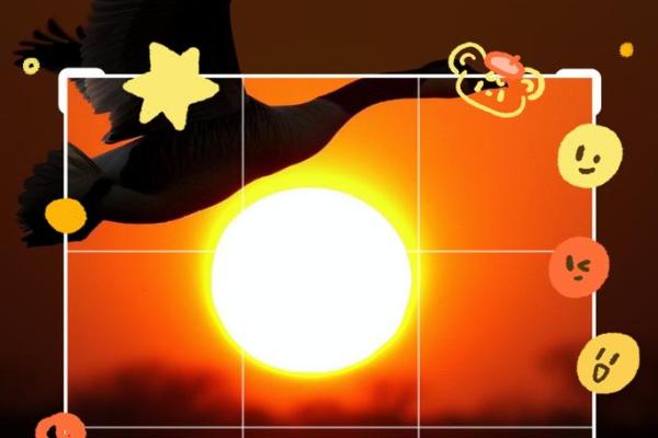 四两命与最佳命配的和谐之道