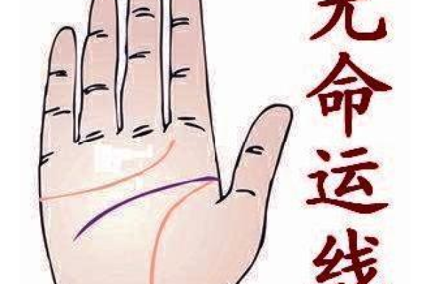 当命运的线被拉长，生活的色彩如何焕发新生？