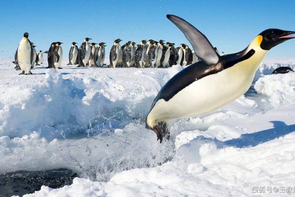 1996年出生的你，命运之路的奥秘与启示