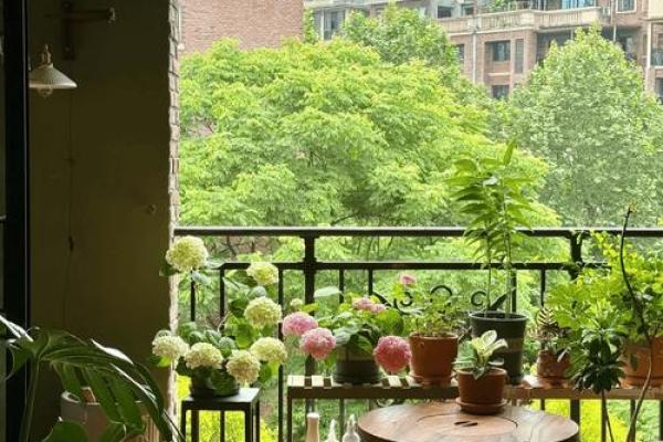 探寻女人婚姻命格的奥秘,揭示幸福的真谛 探寻女人婚姻命格的奥秘,揭示幸福的真谛