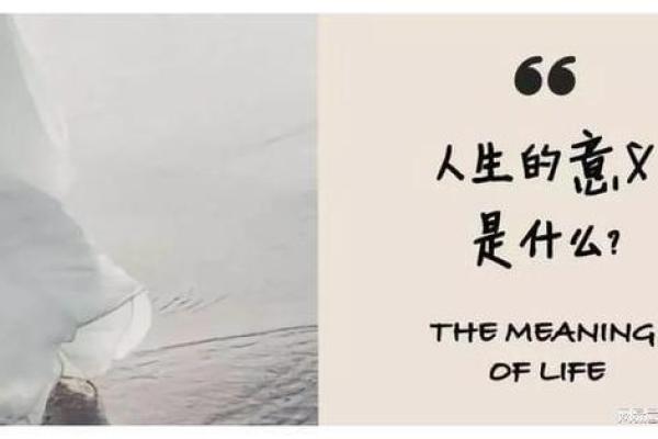 1983亥时出生的命运解析：人生旅途中的阴阳与机遇