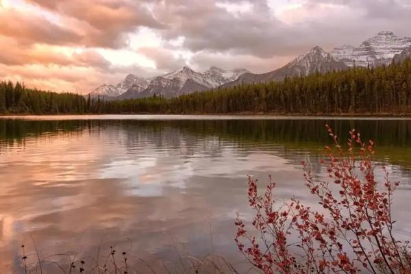 1983亥时出生的命运解析：人生旅途中的阴阳与机遇