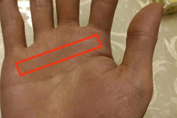 探秘甲寅女命:她的另一半命格特征与命运影响 探秘甲寅女命:她的另一半命格特征与命运影响