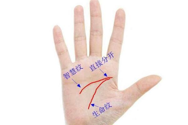 1994年9月5日出生者的命运解析：探索命理与人生之路的神秘之旅