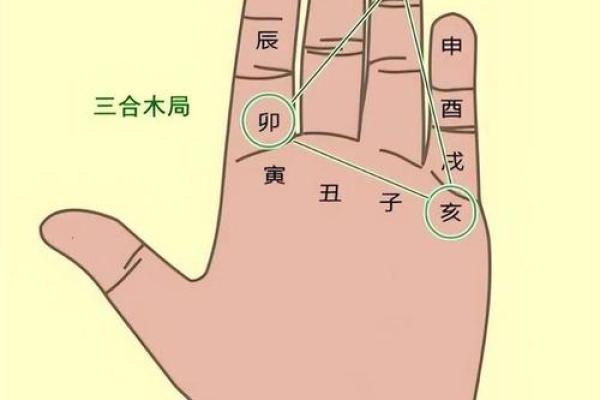 探索一九八零五行命格的奥秘与运势分析 探索一九八零五行命格的奥秘与运势分析