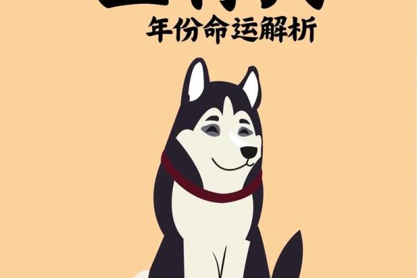 94年属狗的命运与性格解析：如何把握人生机遇？