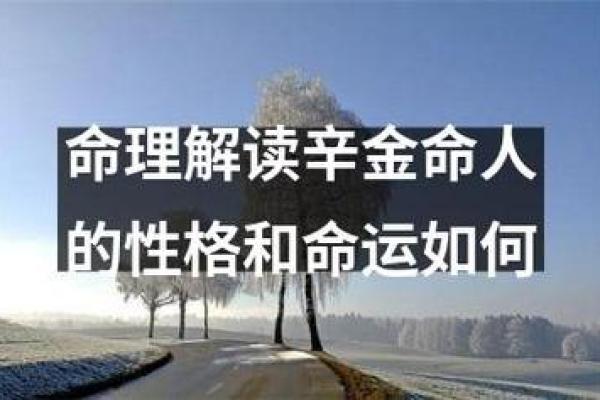 探秘命理学中的命座：如何影响你的性格与命运？