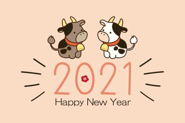 2018年猪宝宝命运解析：如何为他们的未来铺路