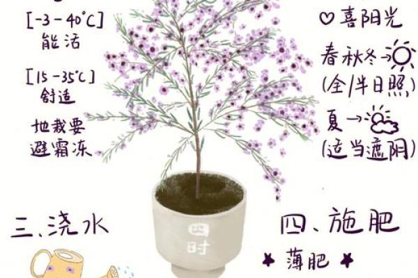 水命与木命养宠物的最佳选择与养护指南