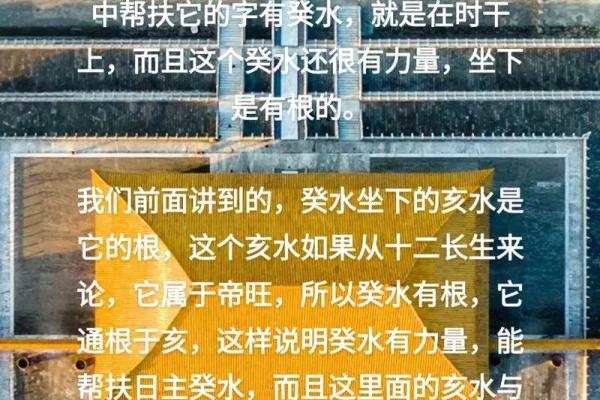 探索命理:癸未、癸亥、辛亥、丁酉的命运特征与人生启示 探索命理:癸未、癸亥、辛亥、丁酉的命运特征与人生启示