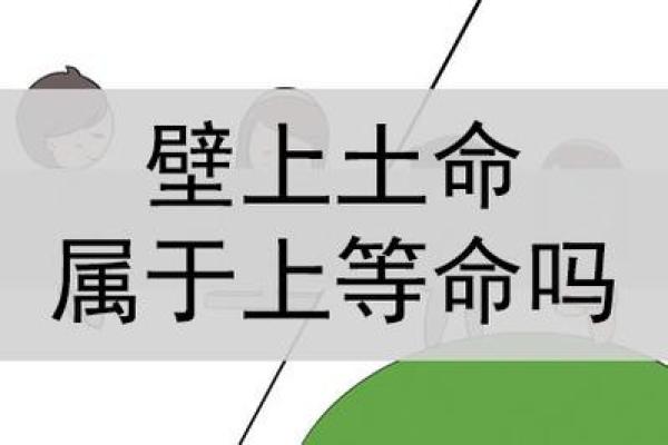 从鼠壁上看土命如何选择合适的干妈