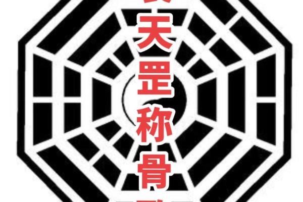 三俩二钱命女的幸福人生解析与心灵成长之路 三俩二钱命女的幸福人生解析与心灵成长之路