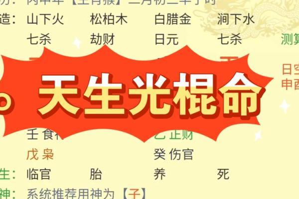 探索2000年木命的奥秘：命理与生活的完美结合