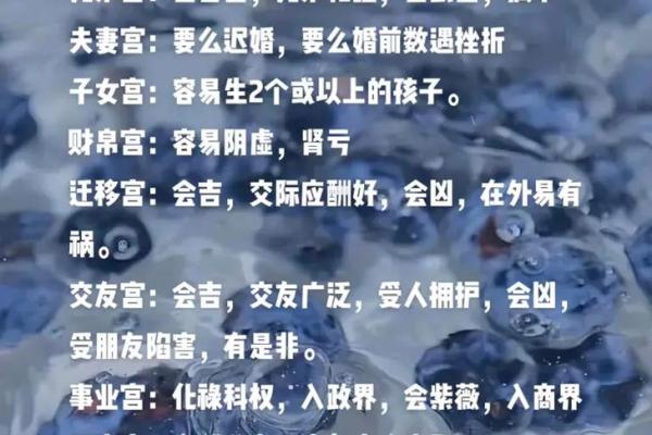 命盘解析：身主与命主的奥秘探讨，揭示人生潜力与命运路径