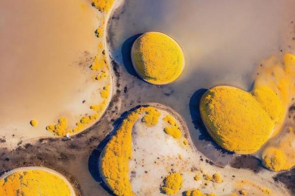 土命与木命佩戴饰品的秘诀：增运指南！