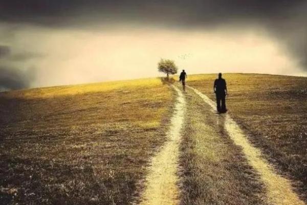 《甲你惜命命：关于生命的启示与思考》