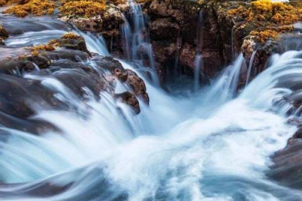 探寻“马楼的命也是命”的深意与生活智慧