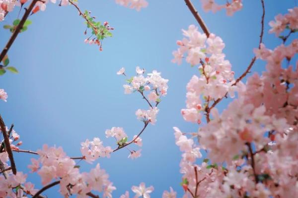 1992年出生的猴年水命，探索命运与生活的深层寓意