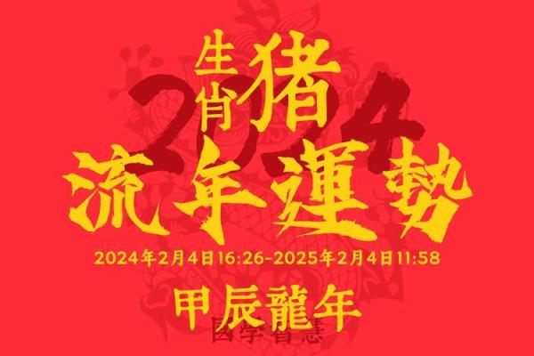 2008年属猪之人的命理解析与未来展望 2008年属猪之人的命理解析与未来展望