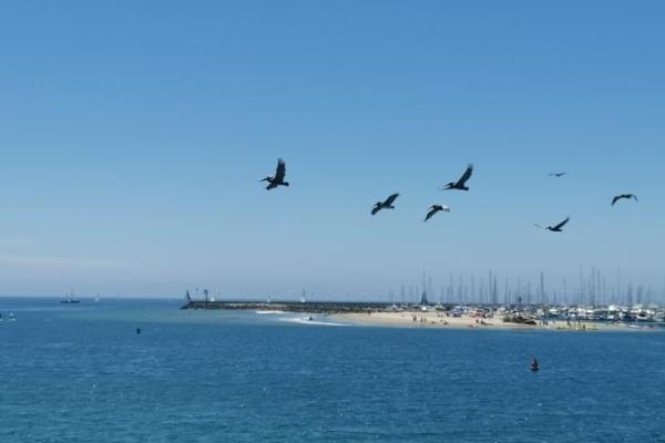 2023年：水兔之年，探索机遇与成长的旅程