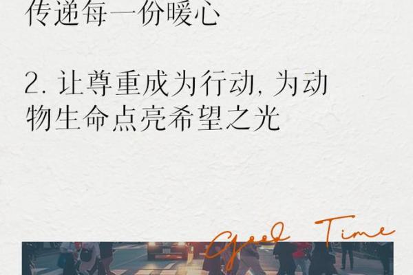 赦命之宝：生命的重启与希望之光