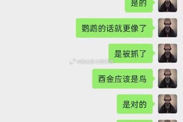 男命不利于女命的深层解析:如何理解命理中的性别关系 男命不利于女命的深层解析:如何理解命理中的性别关系