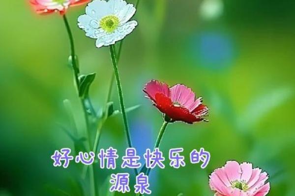 74年大溪水命:情感丰富的人生旅程与灵魂探索 74年大溪水命:情感丰富的人生旅程与灵魂探索