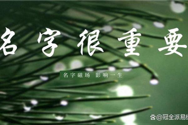 1992年出生的命运与颜色:七彩人生的意义探寻 1992年出生的命运与颜色:七彩人生的意义探寻