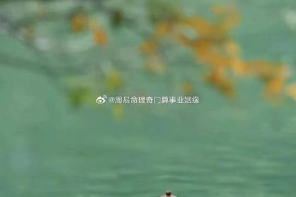 石榴木女命合适的命理搭配，助你找到命中注定的另一半！