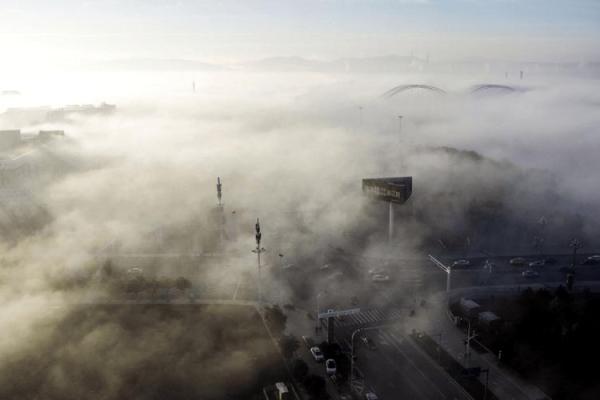 1658年：历史长河中的一朵浪花，人与自然的奇妙交织