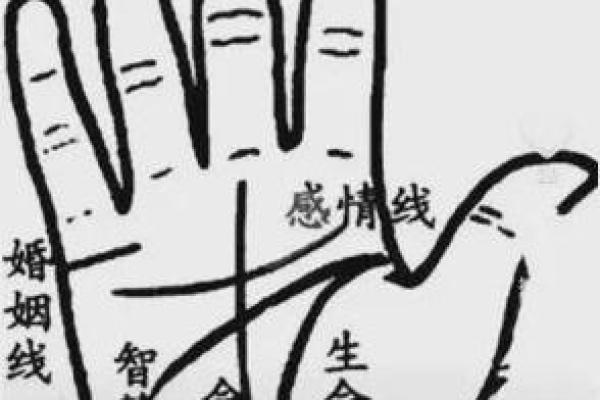 男人断掌的命运解析：好运与人生的秘密