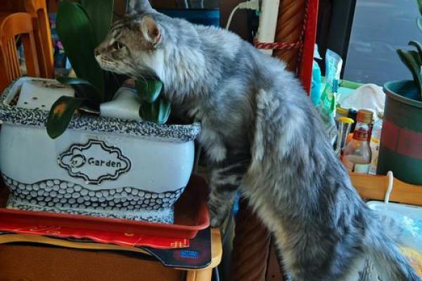 1992年出生的水命人：命运与性格的深刻解析